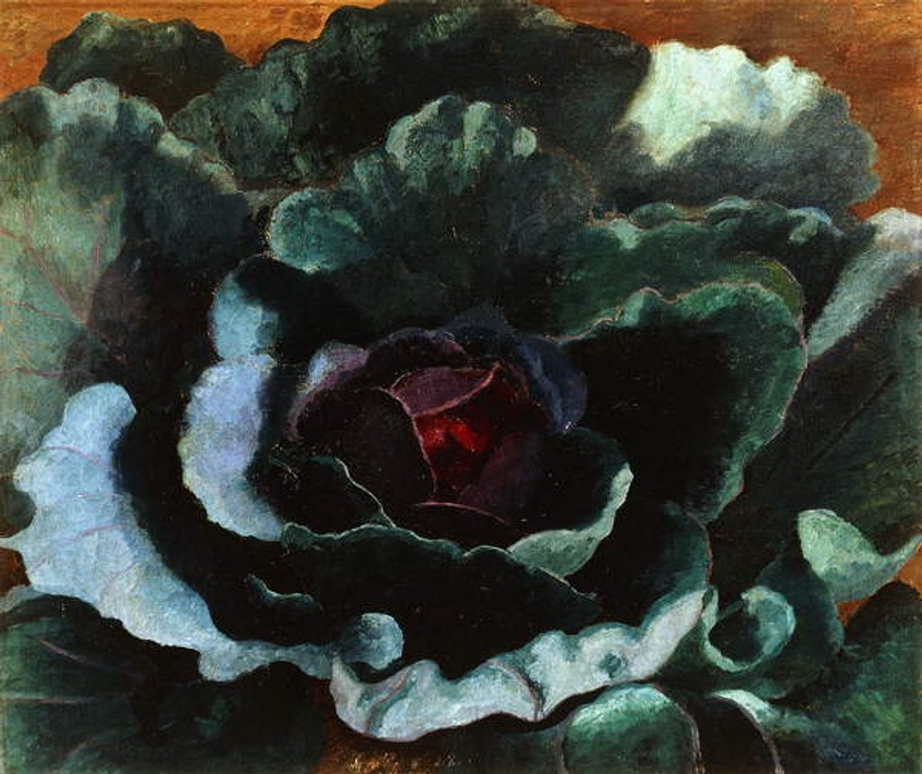 Detail of Cabbage, 1956 by Cedric Morris