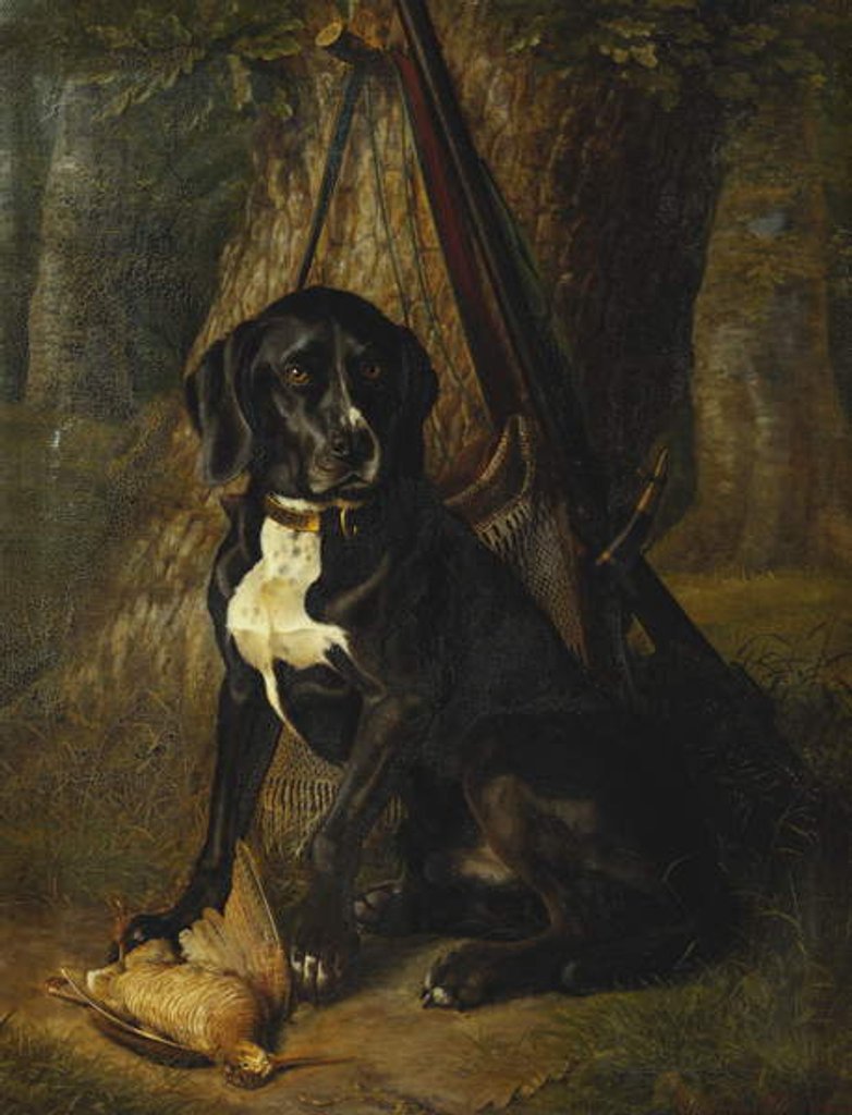 Detail of A Gun Dog with a Woodcock, 1842 by William Hammer