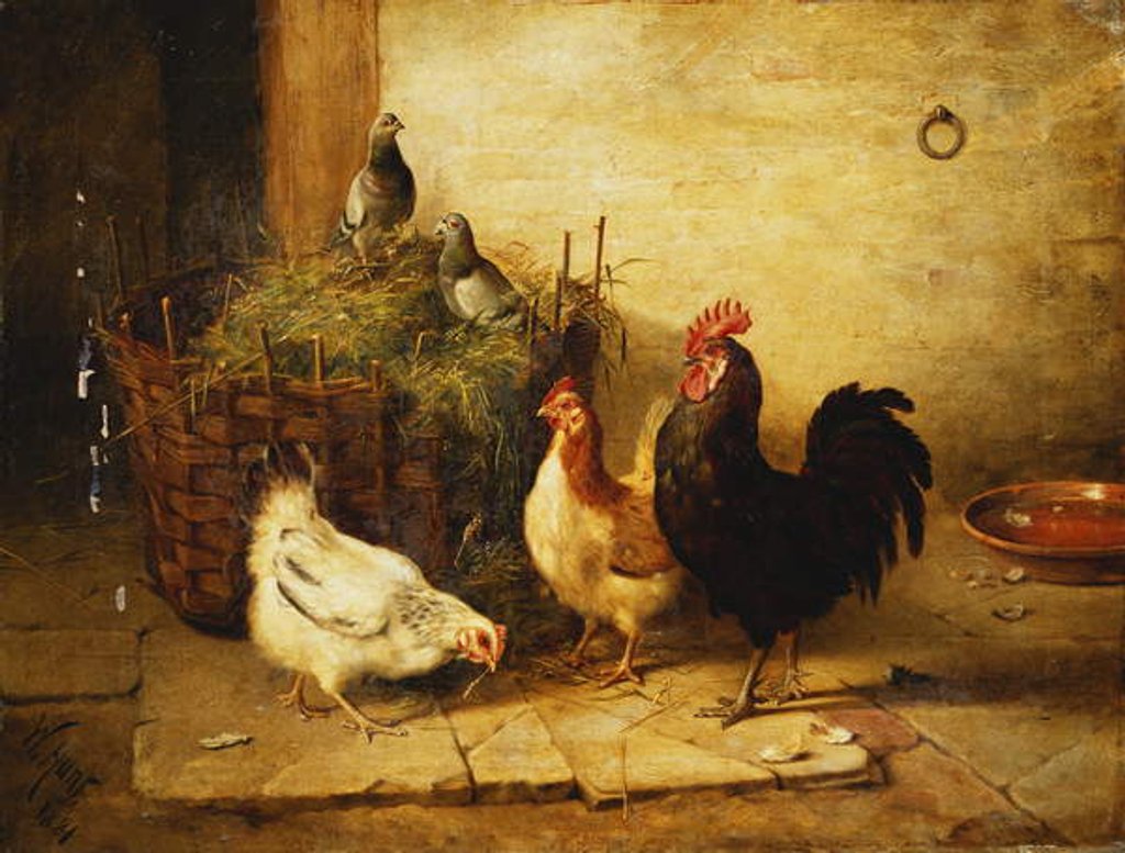Detail of Poultry and Pigeons in an Interior, 1881 by Walter Hunt