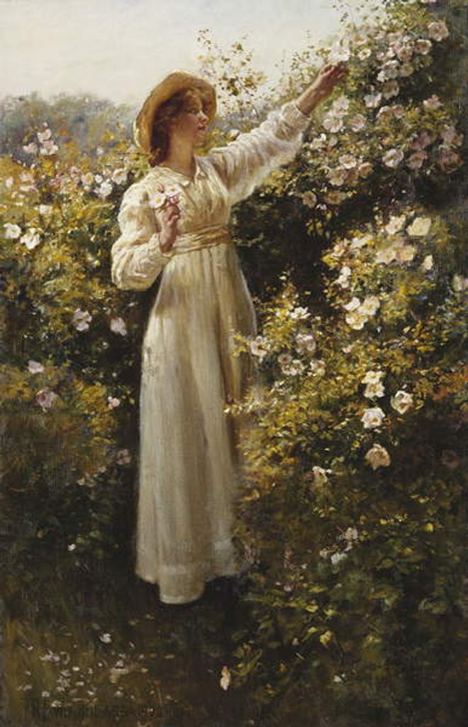 Detail of Wild Rose, 1908 by Robert Payton Reid