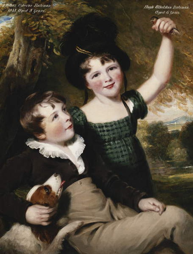 Detail of Portrait of Thomas Osborne Bateman, Aged 8, with his Brother, Hugh Athelstan, Aged 6, 1818 by Thomas Barber