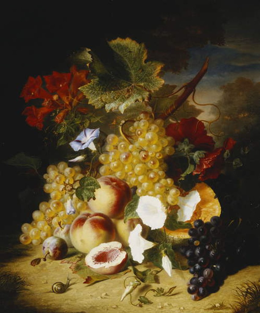 Detail of Peaches, Grapes, a Melon, Convulvuli and Other Flowers in a Landscape, by Ange-Louis-Guillaume Lesourd-Beauregard