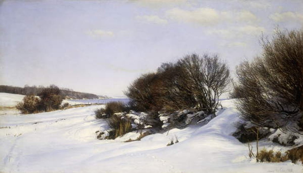 Detail of Winter Near the Sea, 1888 by Janus la Cour