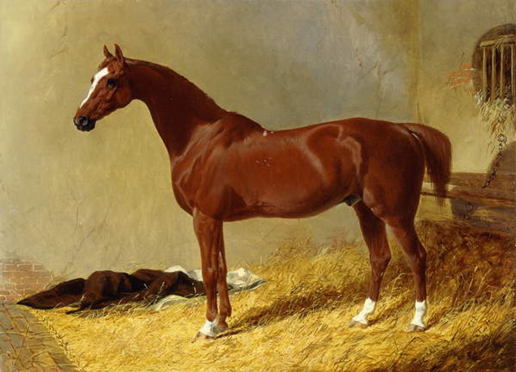 Detail of A Bay Racehorse in a Stall, 1843 by John Frederick Herring Snr