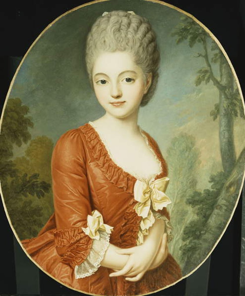 Detail of Portrait of a Young Lady by Antoine Vestier