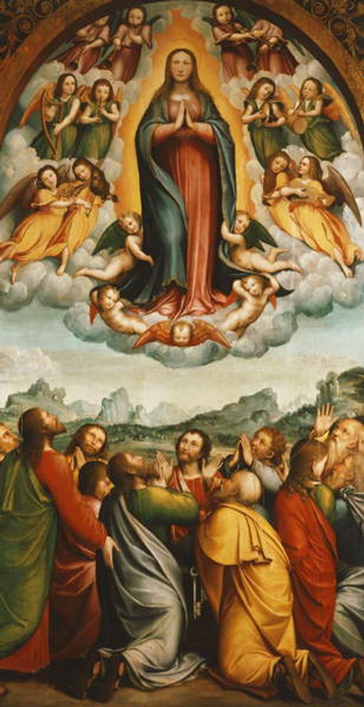 Detail of The Assumption of the Virgin by Bernardino Ferrari