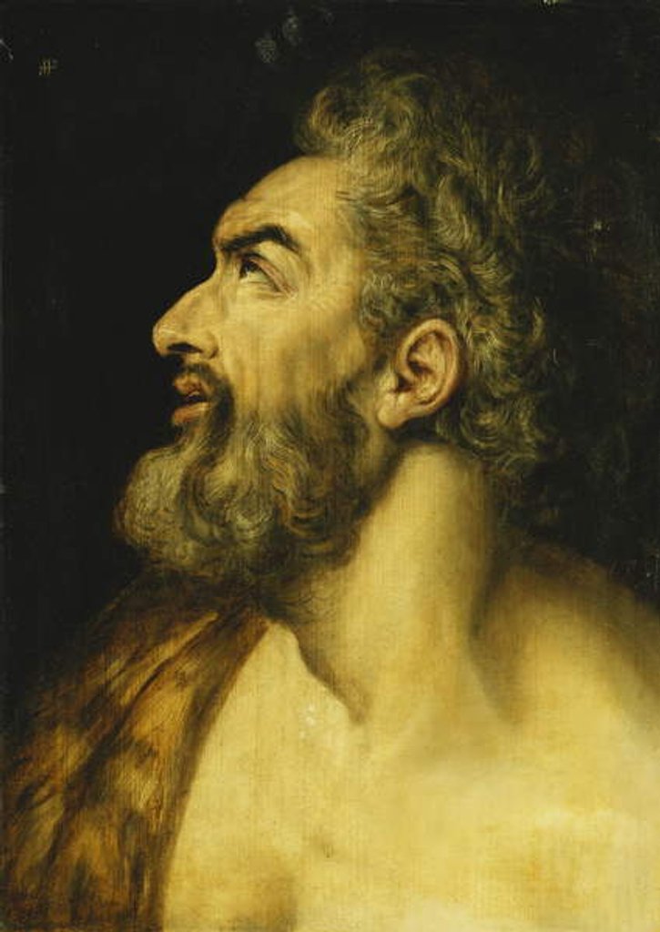 Detail of Head of Saint John the Baptist by Frans Floris