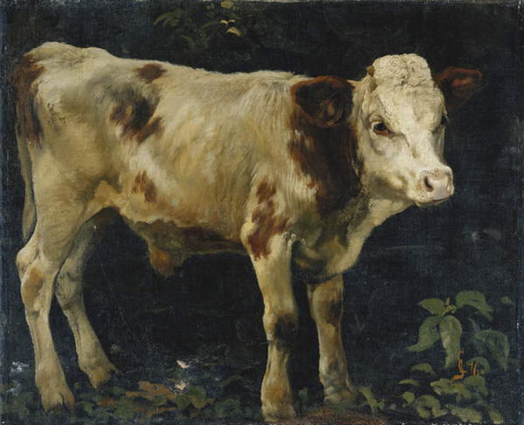 Detail of A Bull Calf, 1876 by Christian Eriksen Skredsvig
