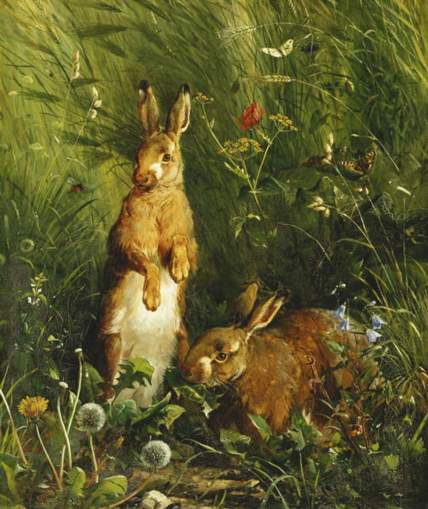 Detail of Hares, 1878 by Olaf August Hermansen