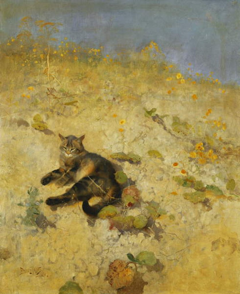 Detail of A Cat Basking in the Sun, 1884 by Bruno Andreas Liljefors