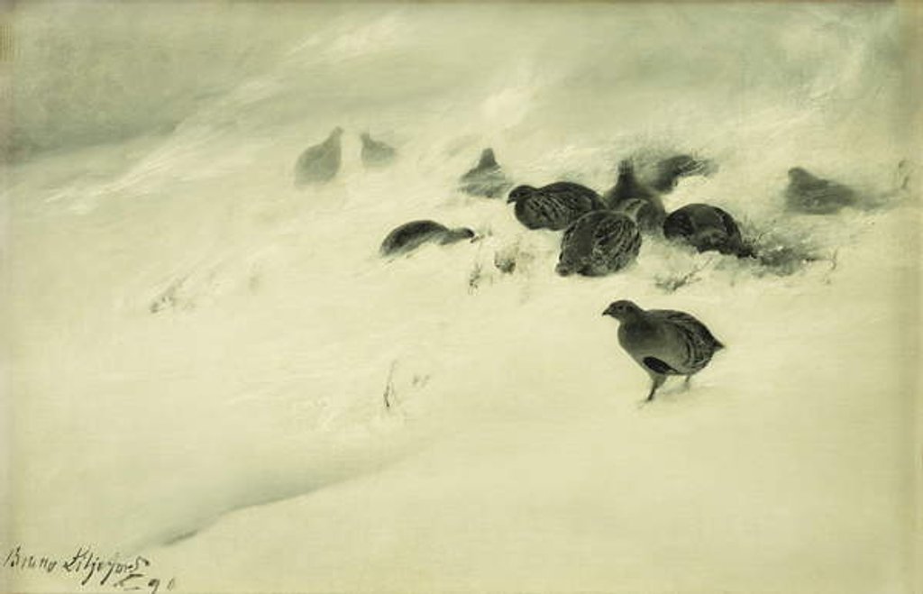 Detail of Grouse in a Snow Storm, 1890 by Bruno Andreas Liljefors