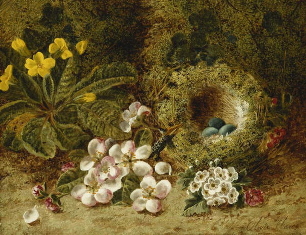 Detail of Apple Blossoms, a Primrose and Birds Nest on a Mossy Bank by Oliver Clare