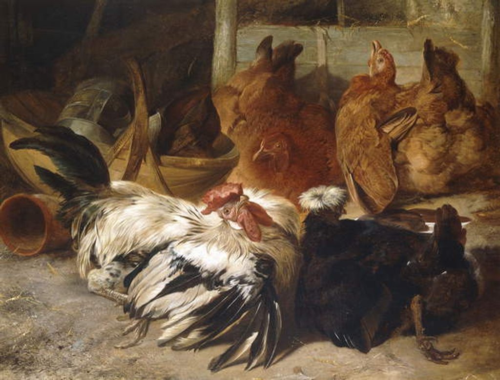 Detail of A Silver-Grey Rosecomb Cock and a White-Crested Black Poland with Two Buff Hens by Henry Weekes