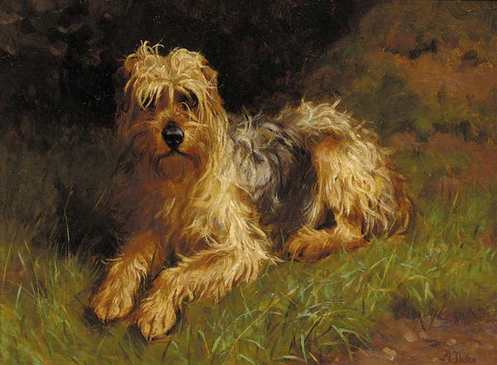 Detail of Soft Coated Wheaten Terrier by Alfred Duke