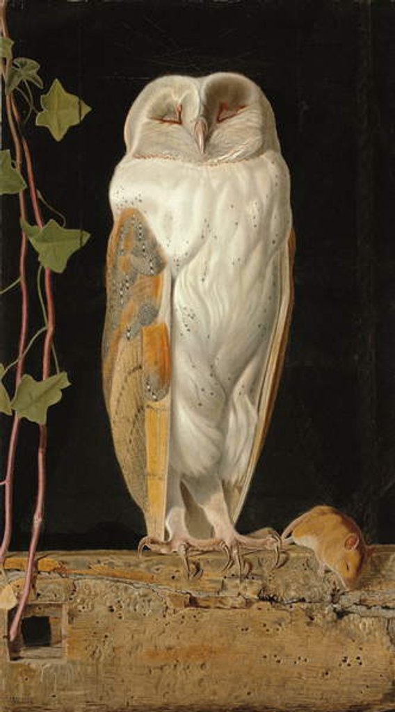 Detail of The White Owl: 'Alone and warming his five wits, the white owl in the belfry sits', 1856 by William J. Webbe