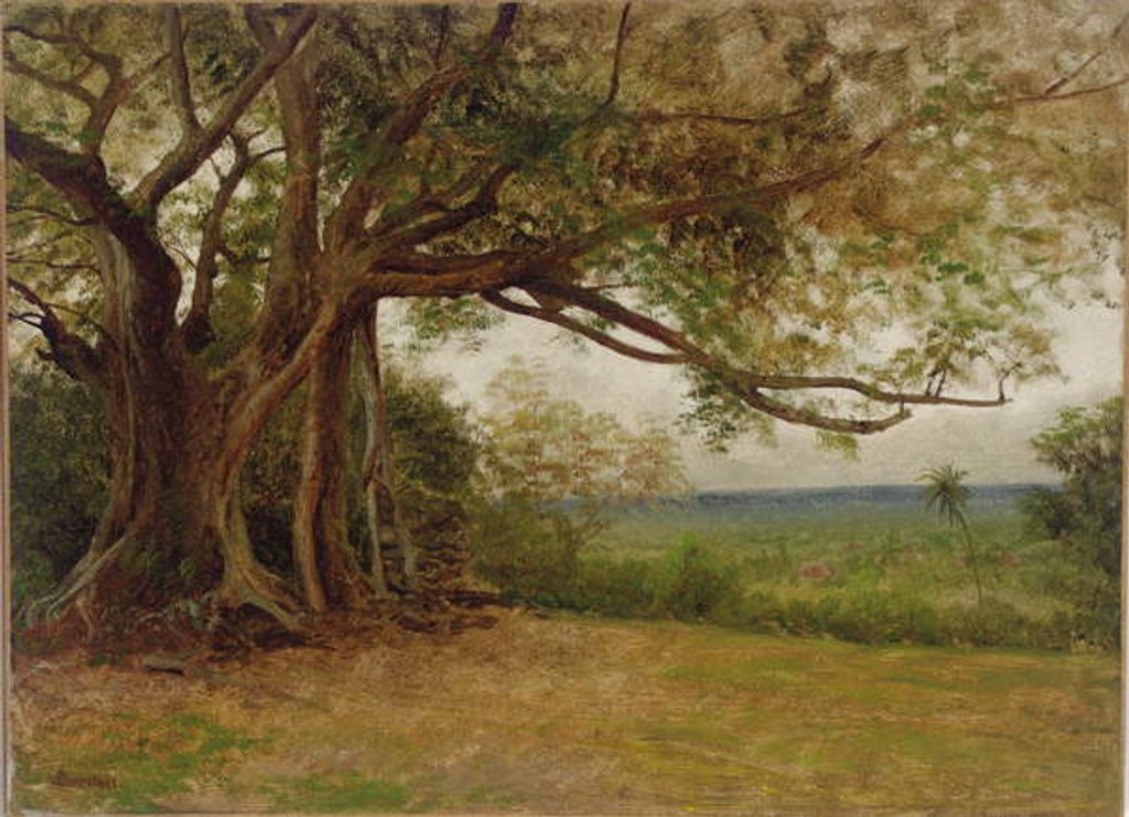 Detail of Study for 'The Landing of Columbus', 1892 by Albert Bierstadt