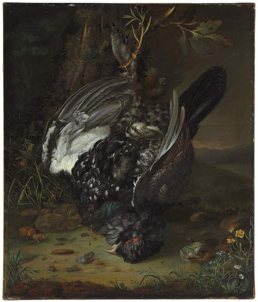 Detail of A blackcock in a wooded landscape, 1747 by Johann Friedrich von Grooth