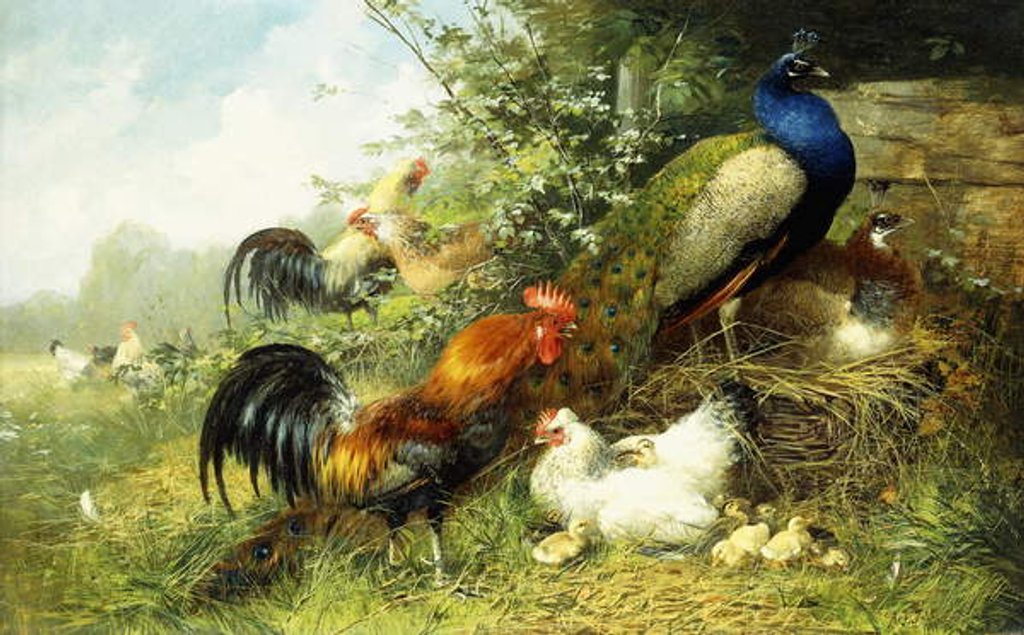 Detail of Fowl and Peacocks, 1899 by Arthur Fitzwilliam Tait
