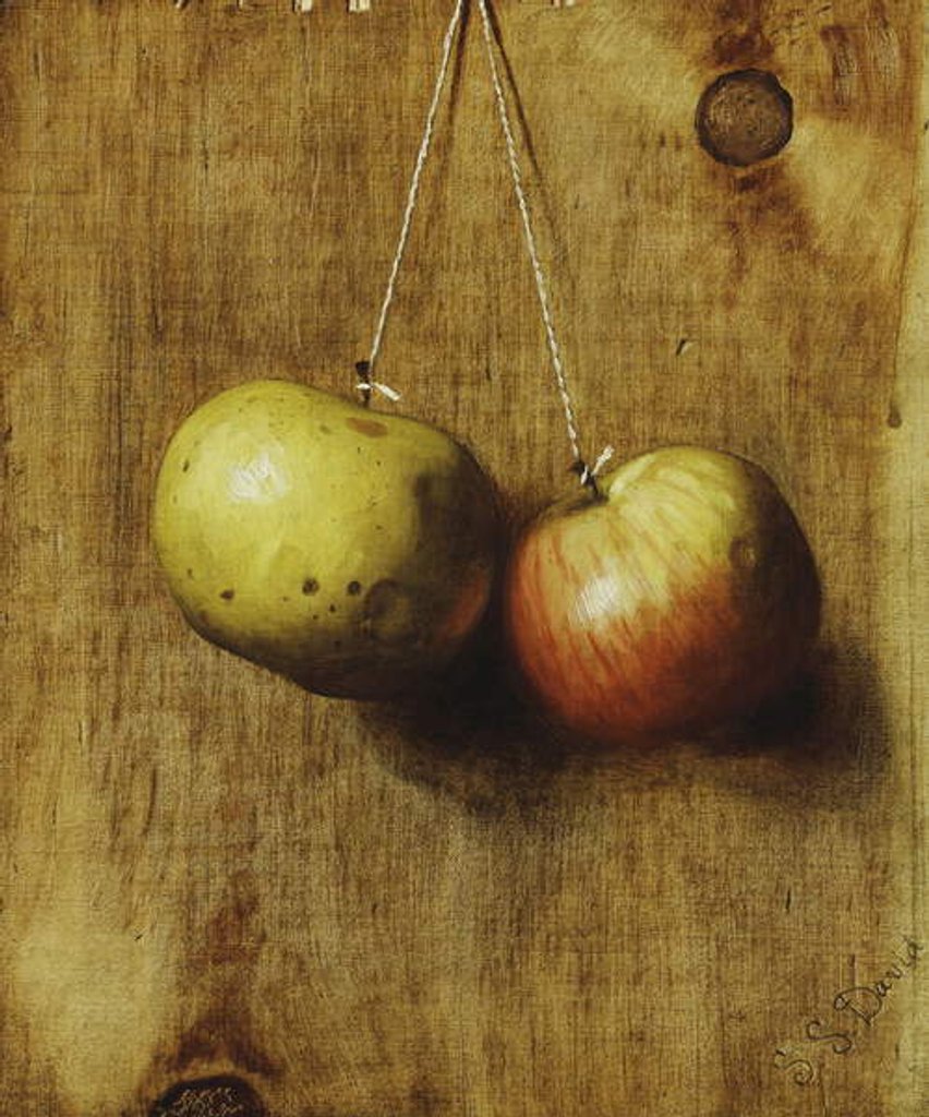 Detail of Hanging Apples by Stanley S. David
