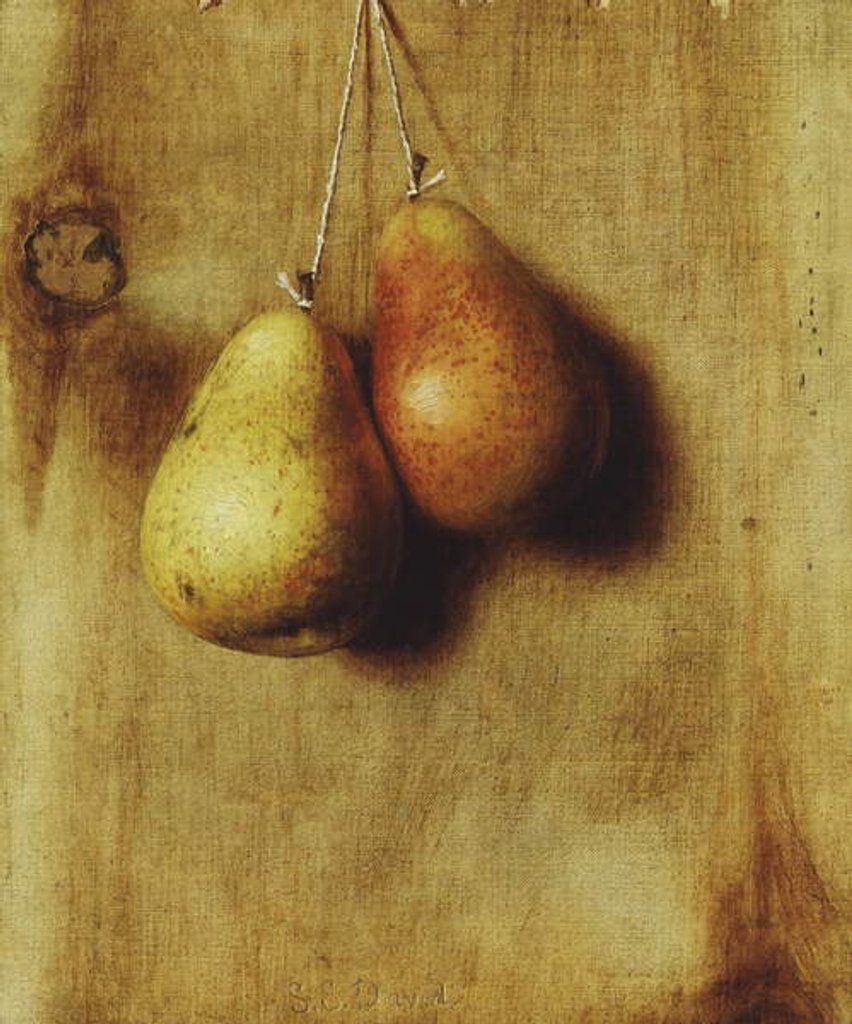 Detail of Hanging Pears by Stanley S. David