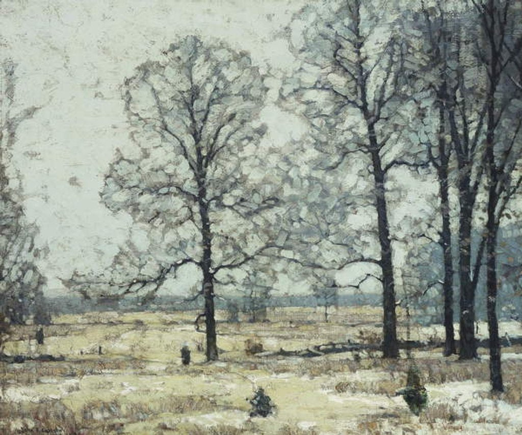 Detail of Winter Hickories by John Fabian Carlson