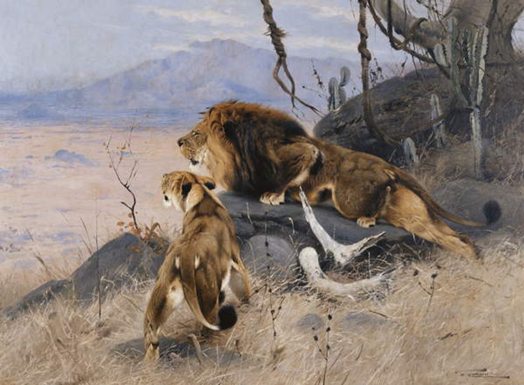 Detail of Lion and Lioness; Lowe und Lowin by Wilhelm Kuhnert