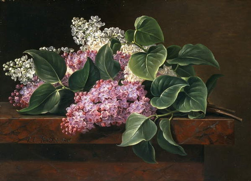 Detail of Lilac on a Ledge by Johan Laurents Jensen
