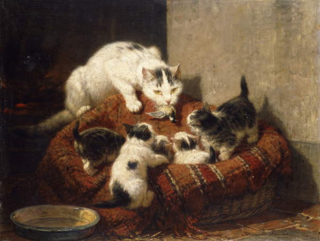 Detail of A Feathered Gift by Henriette Ronner-Knip