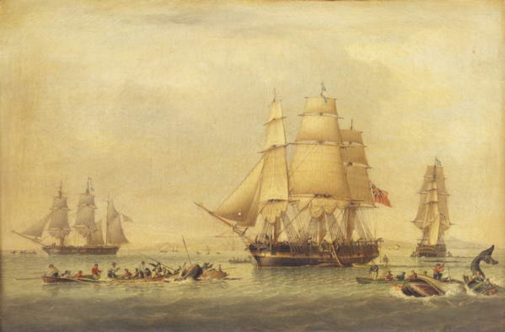 Detail of Whalers of the South Seas Fishery by John of Hull Ward