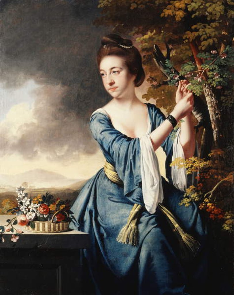 Detail of Portrait of Elizabeth, Mrs John Bostock, c.1769 by Joseph Wright of Derby