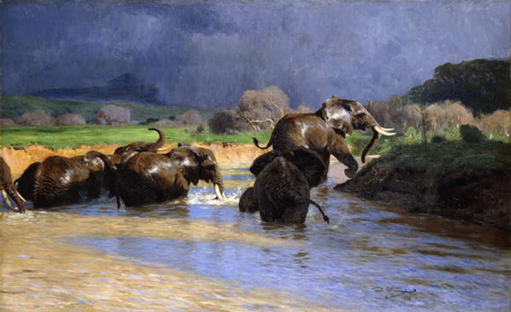 Detail of Elephants Bathing; Badende Elefanten, 1908 by Wilhelm Kuhnert