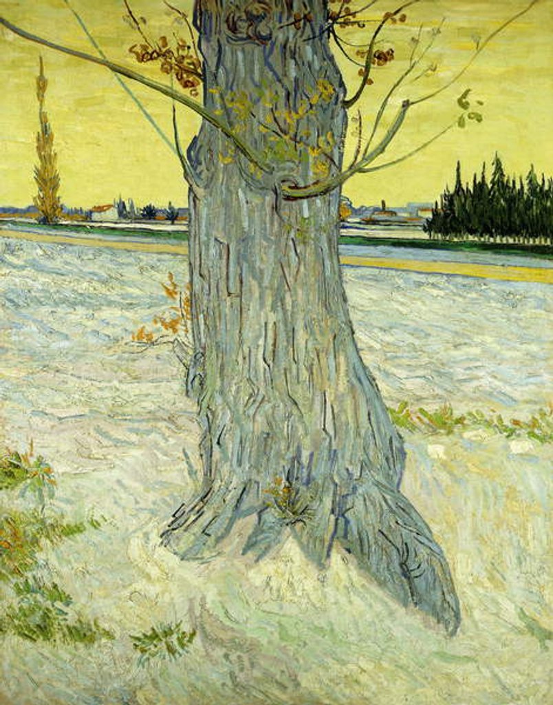 Detail of The Old Tree; Le Vieil If, 1888 by Vincent van Gogh