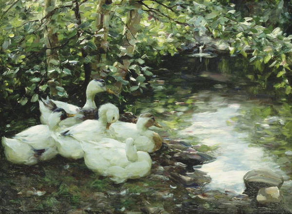 Detail of Five ducks on the river, Stony shore; Funf Enten am Bach, Steiniges Ufer by Alexander Koester