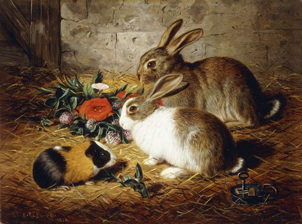 Detail of Escaped: Two Rabbits and Guinea Pig, 1880 by Alfred R. Barber