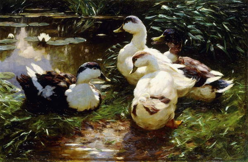 Detail of Ducks on a Riverbank by Alexander Koester