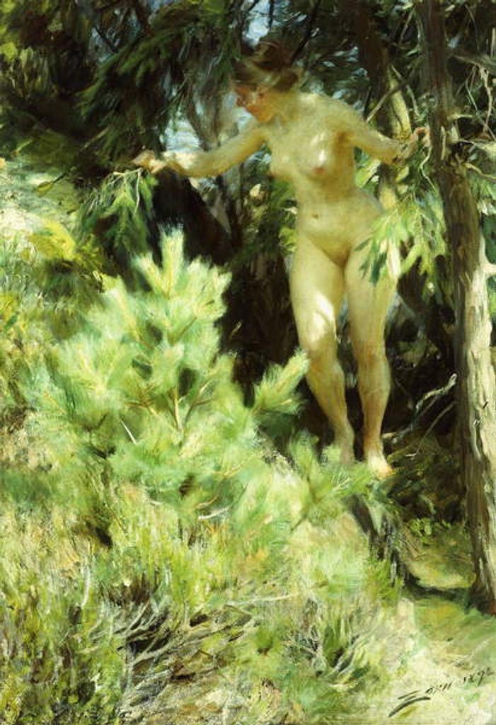 Detail of Wood-Sprite, 1892 by Anders Leonard Zorn