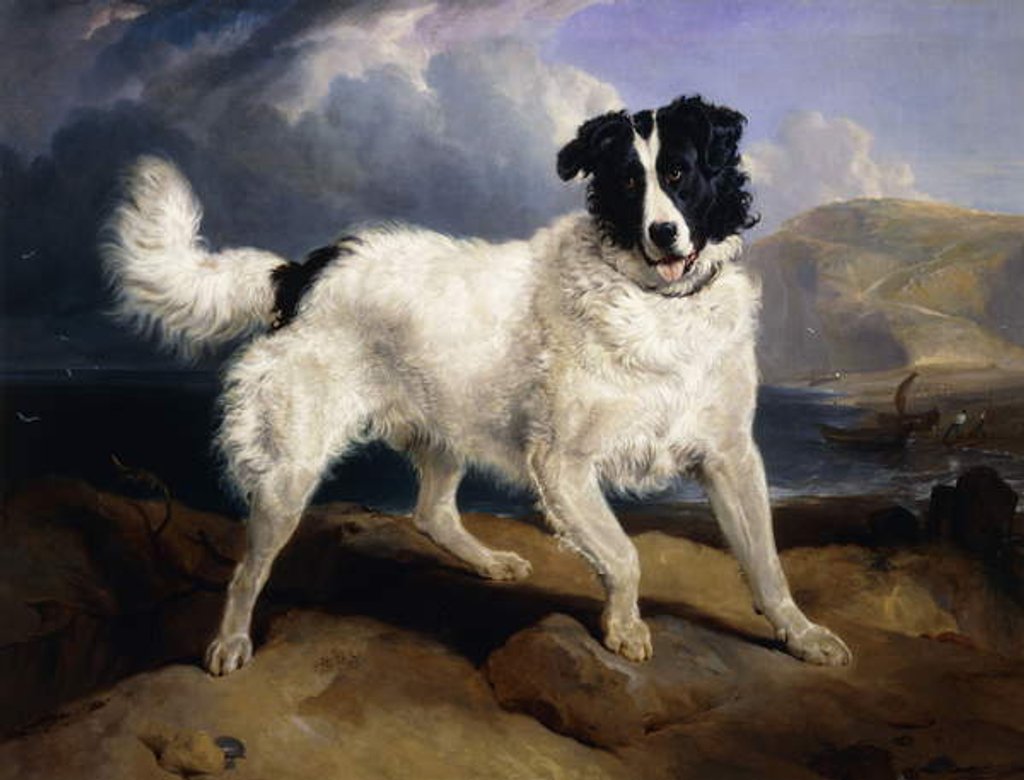 Detail of A Portrait of Neptune, 1824 by Edwin Landseer