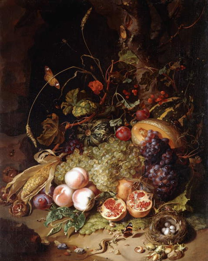 Detail of Still-life with Fruit and Insects by Rachel Ruysch