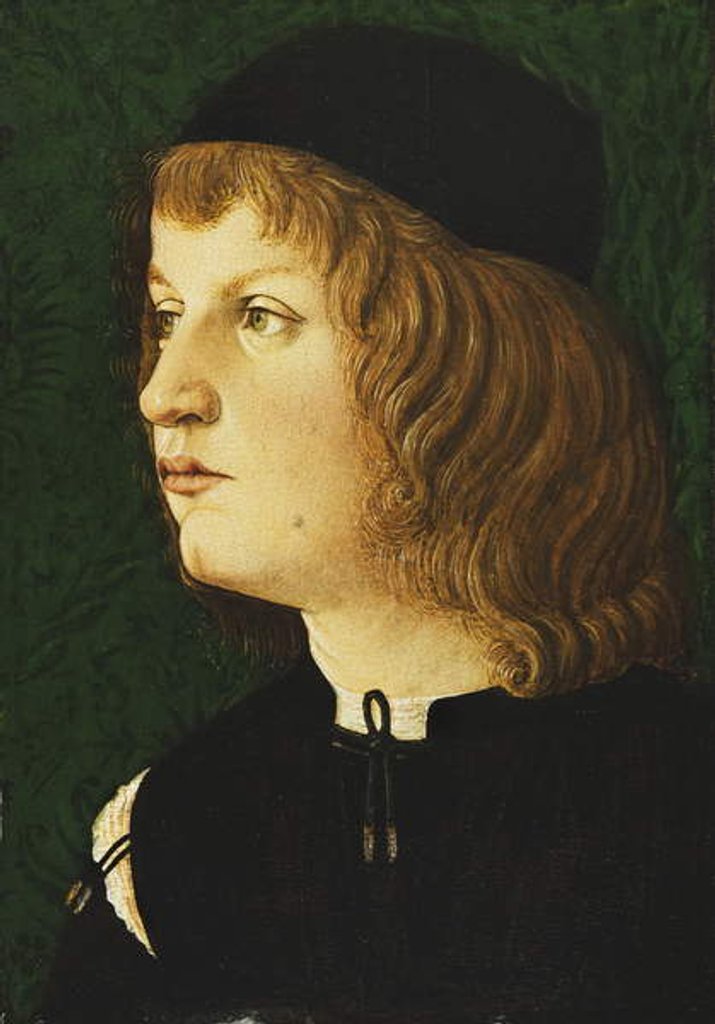 Detail of Portrait of a Youth, bust-length, in a Dark Cap, c.1475 by School Florentine