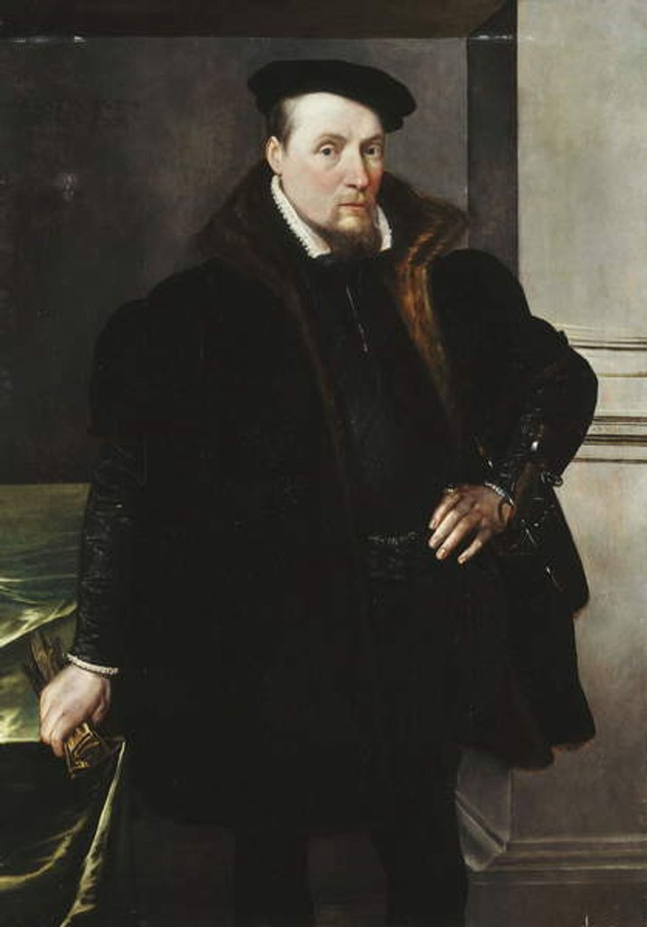 Detail of Portrait of a Gentleman, three-quarter length, in a Black Coat with Fur Lining, 1551 by Maarten de Vos