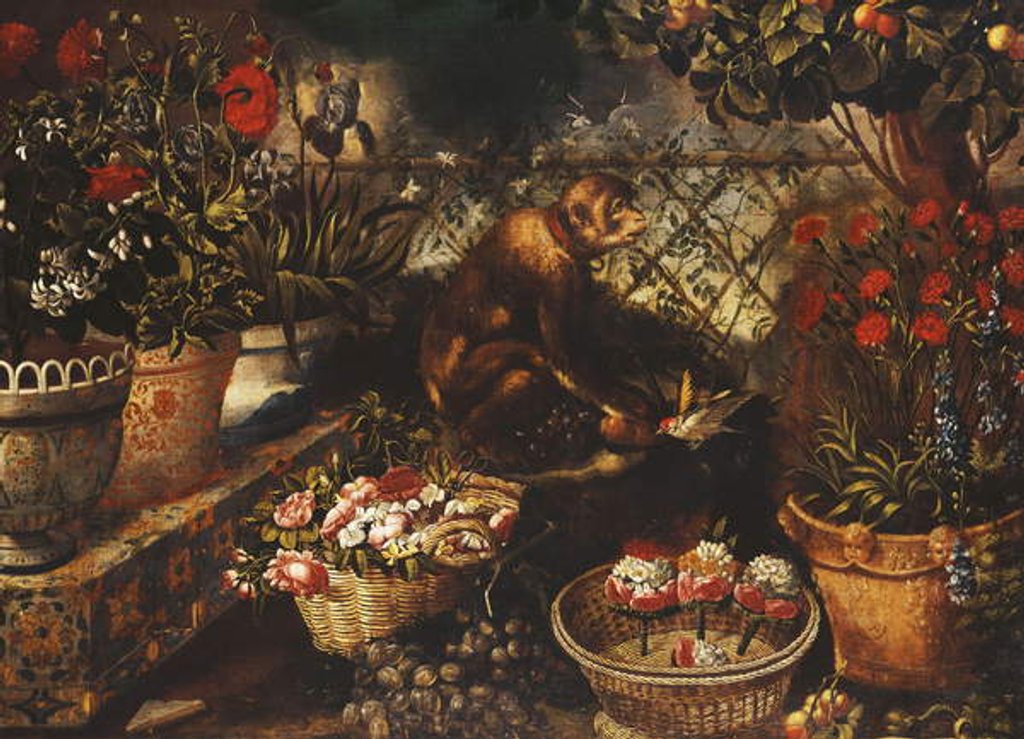 Detail of A Monkey in a Fenced Garden by Thomas Hiepes