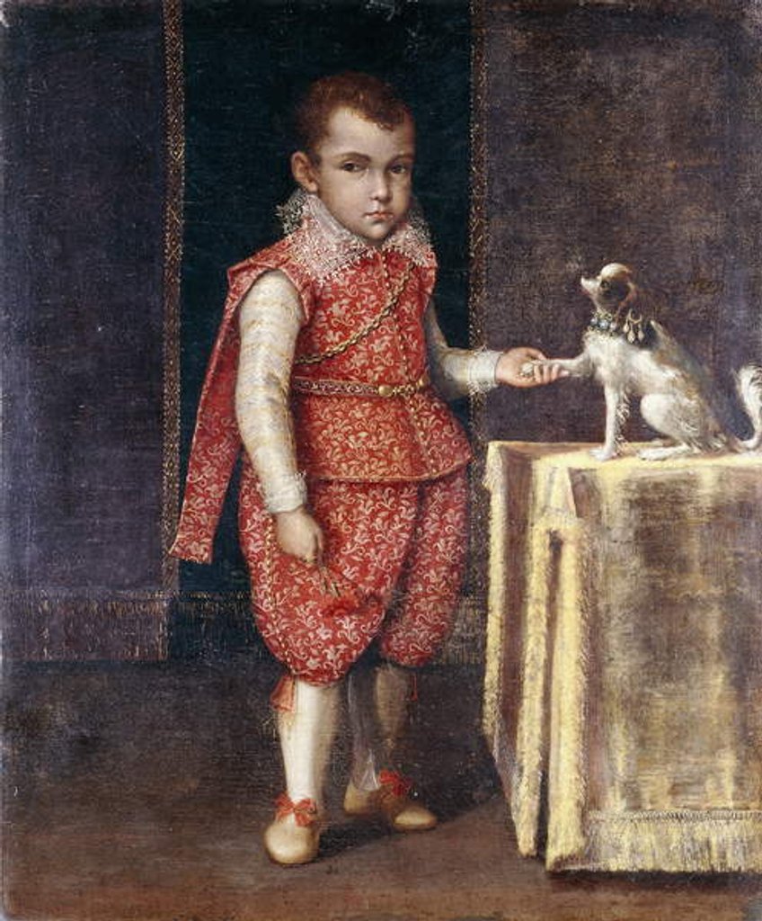 Detail of Portrait of a Boy, full-length, wearing a silver-embroidered red costume, holding the paw of a spaniel on a table by Lavinia Fontana