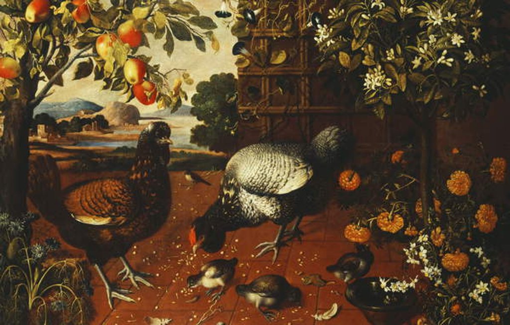 Detail of A Cock, a Hen and Chicks in a Yard, by Thomas Hiepes