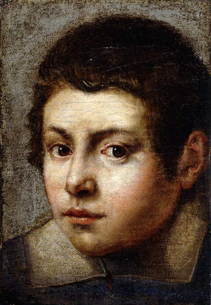 Detail of Head of a Boy by Northern Italian School