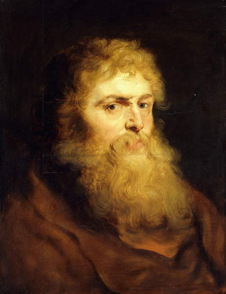 Detail of Head of a Bearded Man by Peter Paul Rubens