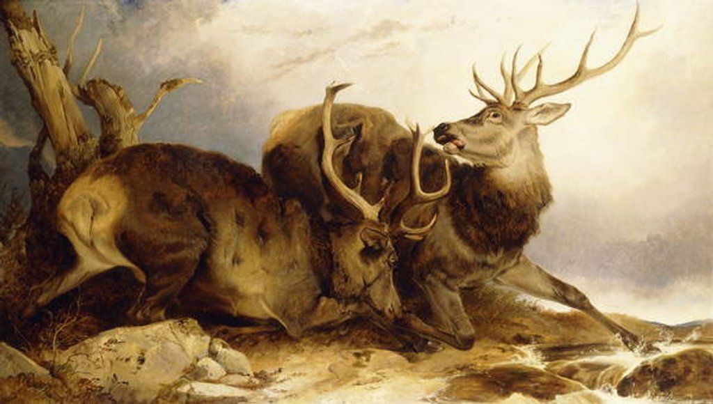 Detail of The Combat, 1847 by Richard Ansdell