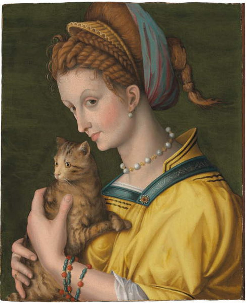 Detail of Portrait of a young lady holding a cat by Francesco Ubertini Verdi Bachiacca