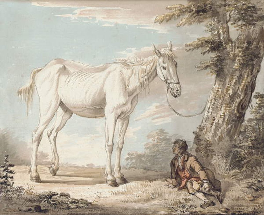 Detail of An Old Grey Horse Tethered to a Tree, a Boy resting nearby by Paul Sandby