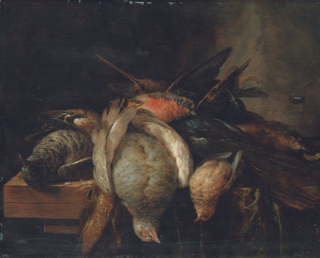 Detail of Dead birds on a ledge, 1651 by Cornelis van Lelienbergh