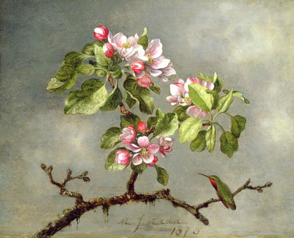 Detail of Apple Blossoms and a Hummingbird, 1875 by Martin Johnson Heade